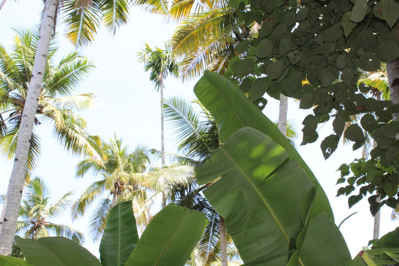 The Exotic Marigold Hotel Varkala Esterno foto